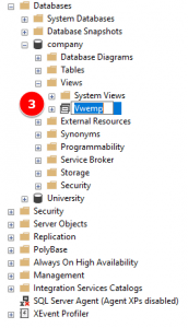 rename view sql server query