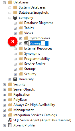 SQL Server Rename View